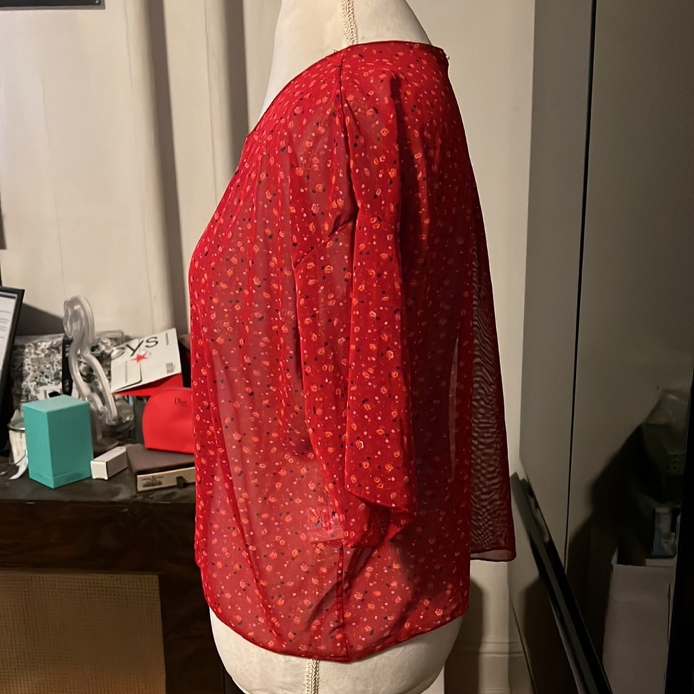 ๐FINAL PRICEโผ๏ธ Nasty gal size 8 sheer red top with floral print - Picture 3 of 4